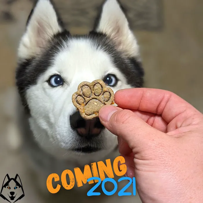 Snowdog Snacks Picture 2