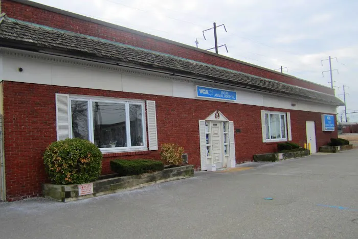 VCA Iselin Animal Hospital Picture 1