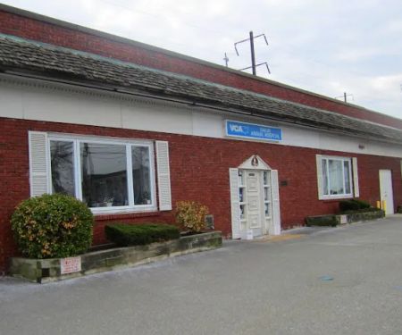 VCA Iselin Animal Hospital