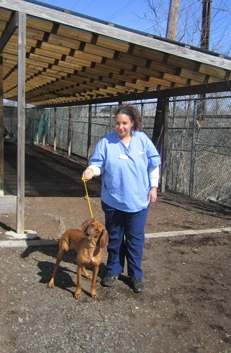 VCA Iselin Animal Hospital Picture 4