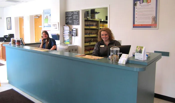 VCA Iselin Animal Hospital Picture 5