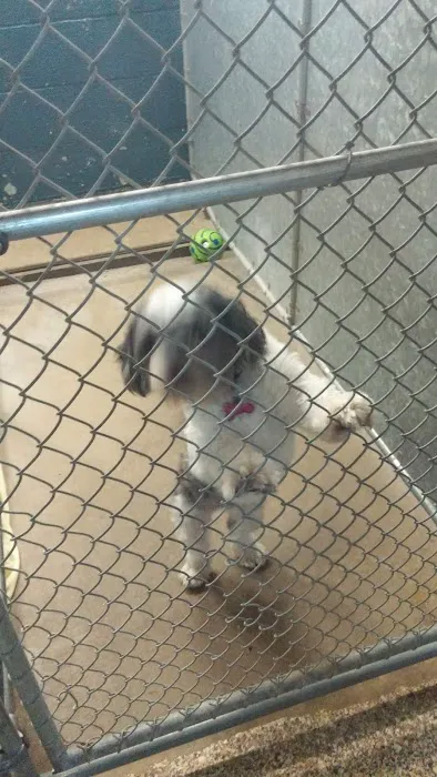 Lexington Animal Hospital Picture 8