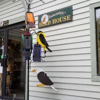 Brewster Bird House at Woodworks Gallery ico