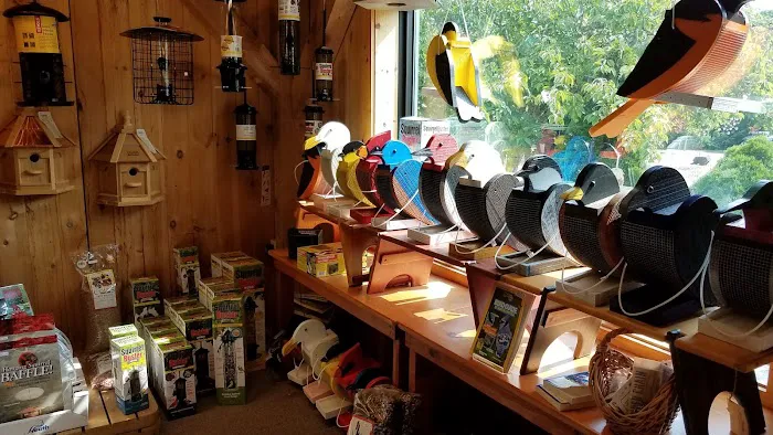 Brewster Bird House at Woodworks Gallery Picture 4