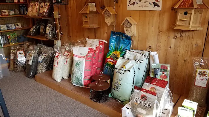 Brewster Bird House at Woodworks Gallery Picture 9