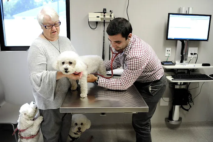 Westfield Veterinary Group Picture 3