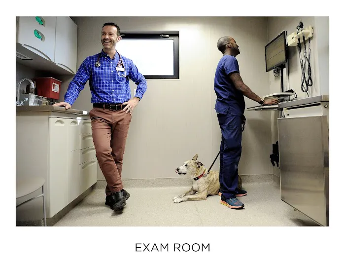 Westfield Veterinary Group Picture 4