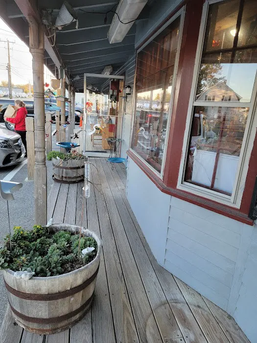 Bird Watchers' General Store Picture 1