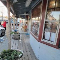 Bird Watchers' General Store ico