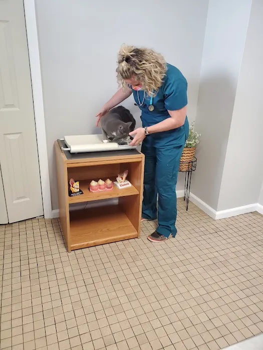 Hopelawn Animal Clinic Picture 7
