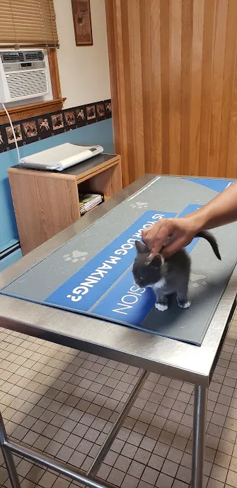 Hopelawn Animal Clinic Picture 10
