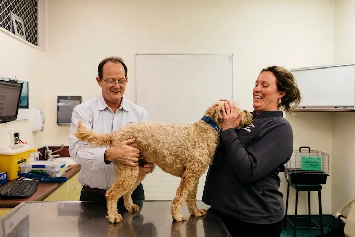 Animal Dermatology Clinic Picture 1
