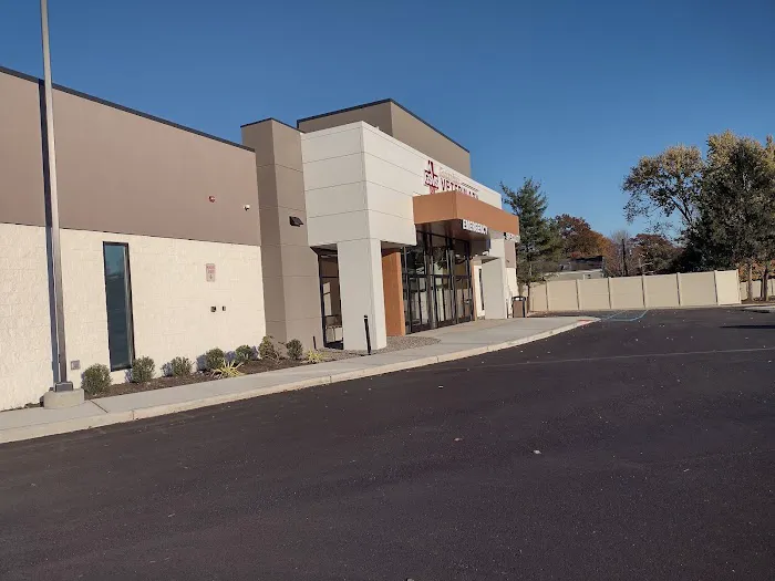 Animal Dermatology Clinic Picture 8