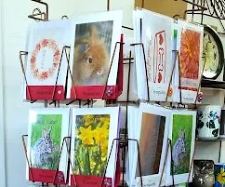 Bird Watcher's Supply & Gift