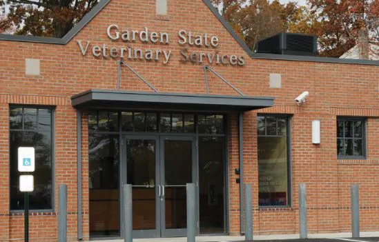 Garden State Veterinary Services Woodbridge Picture 10