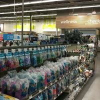 Petco ico