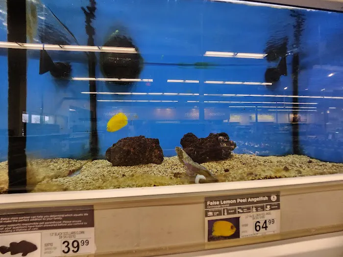 Petco Picture 3