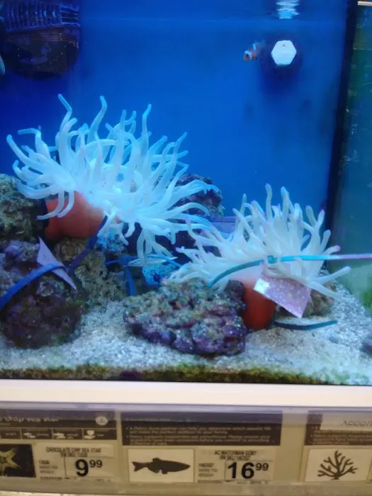 Petco Picture 7