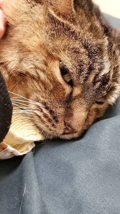 Banfield Pet Hospital Picture 3