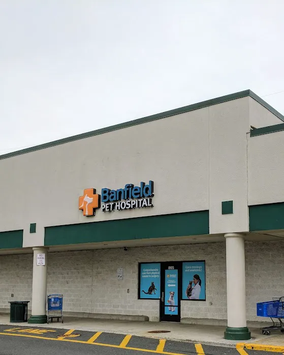 Banfield Pet Hospital Picture 1