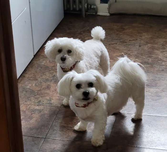 Banfield Pet Hospital Picture 2