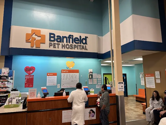 Banfield Pet Hospital Picture 5