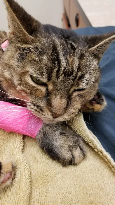 Banfield Pet Hospital Picture 10