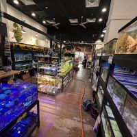 Easy Aquariums - Portsmouth ico