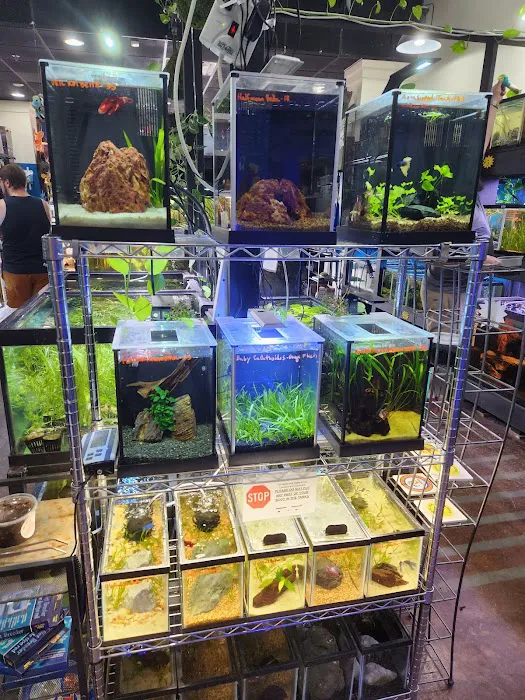 Easy Aquariums - Portsmouth Picture 5