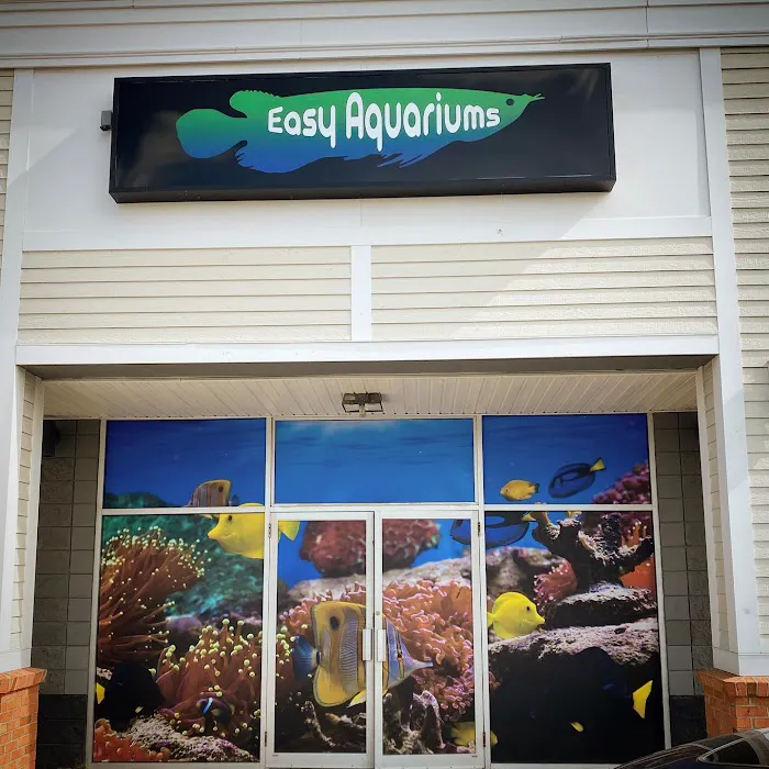 Easy Aquariums - Portsmouth Picture 6