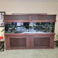 Woodbridge Veterinary Group ico