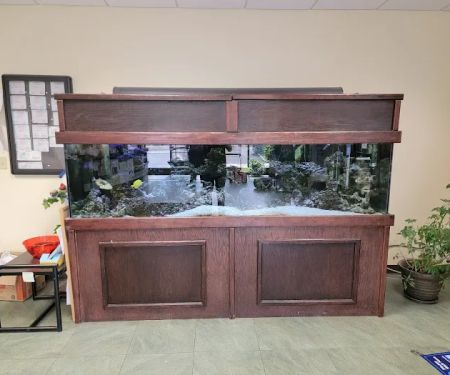 Woodbridge Veterinary Group