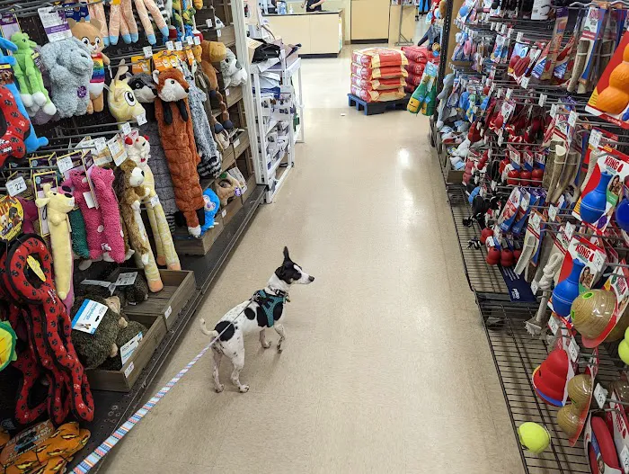 Petco Picture 2