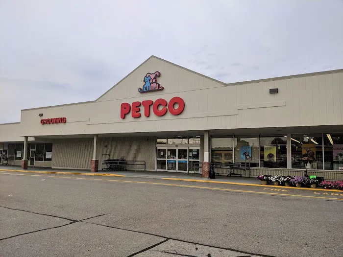 Petco Picture 3