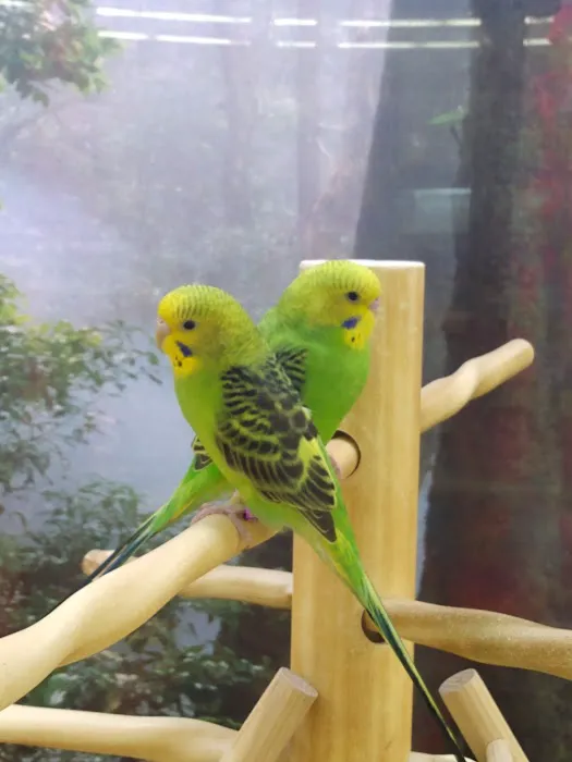 Petco Picture 4