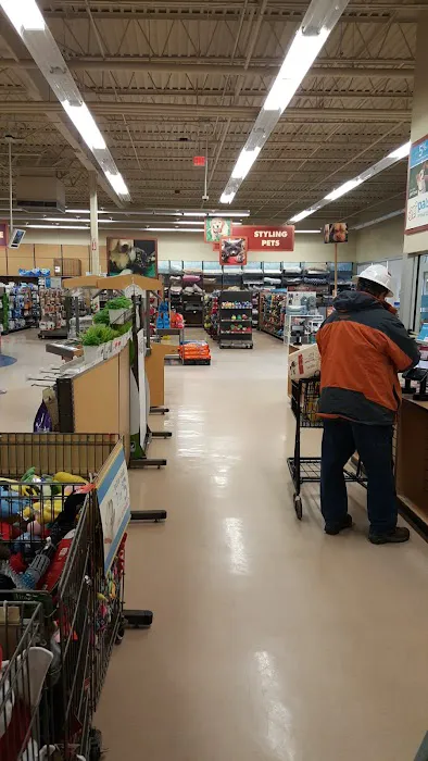 Petco Picture 8