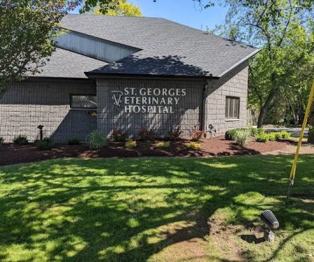 St. Georges Veterinary Hospital