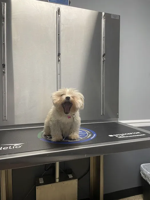 St. Georges Veterinary Hospital Picture 6