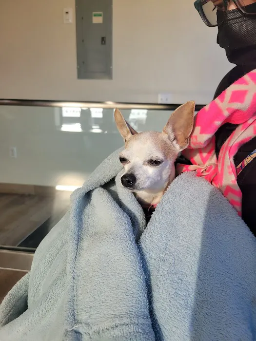 Cranford Animal Hospital Picture 3