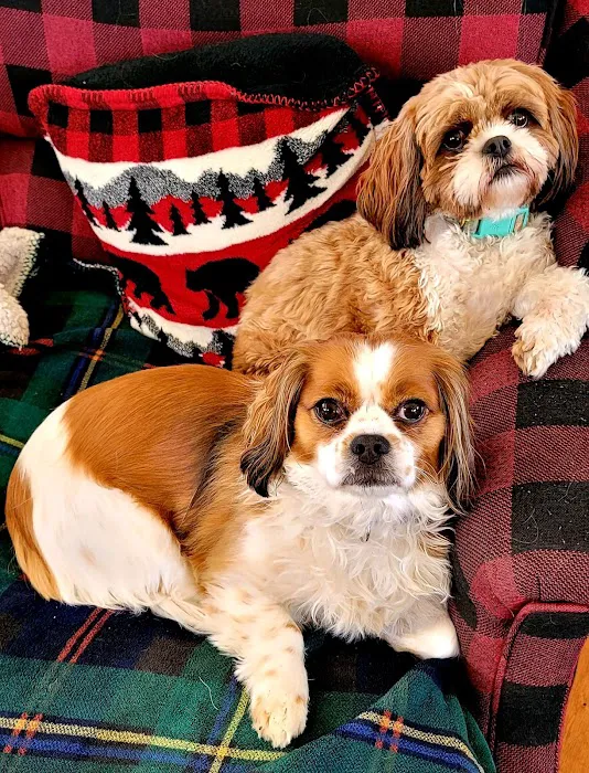 Cranford Animal Hospital Picture 6