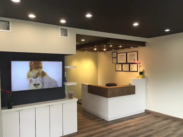 Cranford Animal Hospital Picture 5