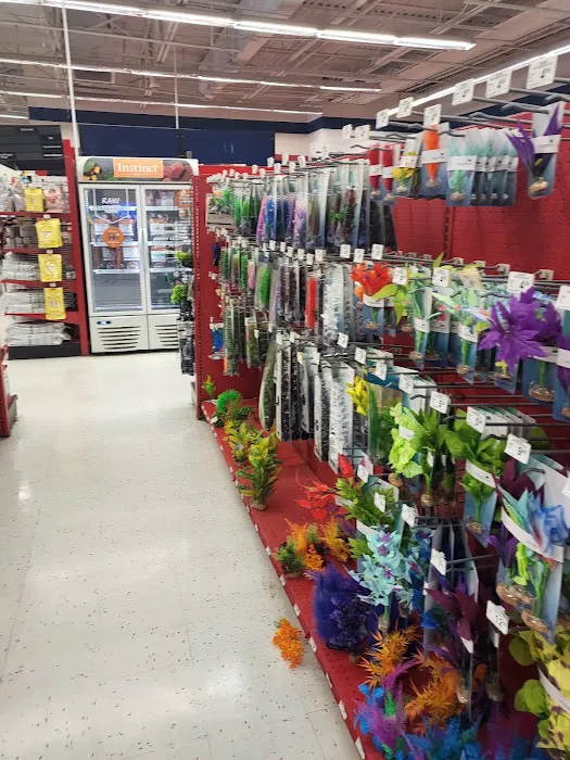 Petco Picture 2