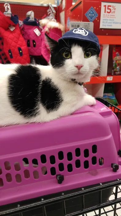 Petco Picture 4