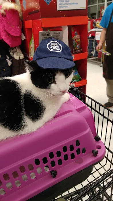 Petco Picture 5