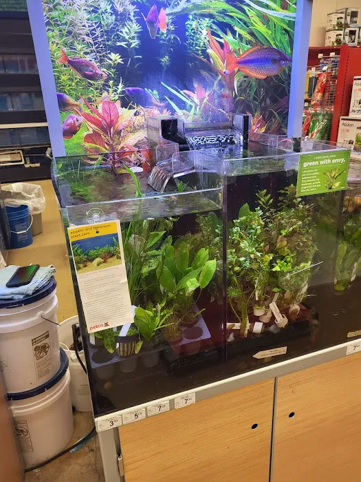 Petco Picture 6