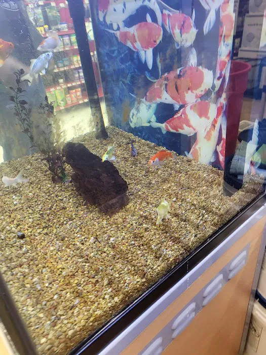 Petco Picture 9