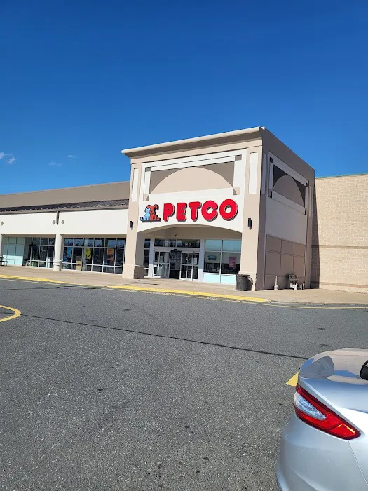 Petco Picture 10