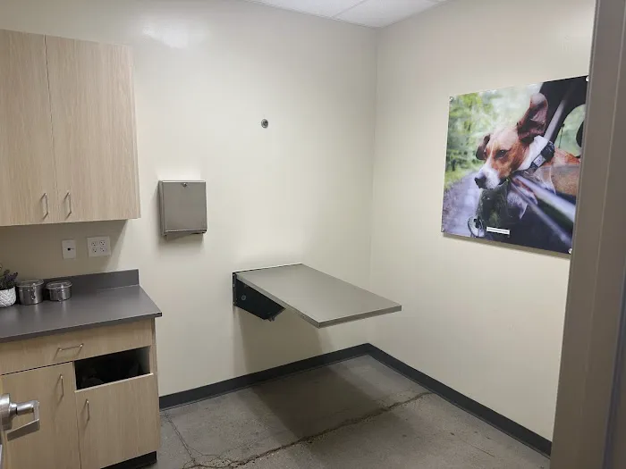Vetco Total Care Animal Hospital Picture 5