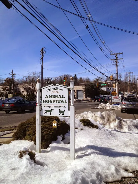 Chatham Animal Hospital Picture 7
