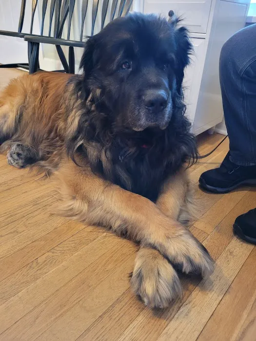 Chatham Animal Hospital Picture 9